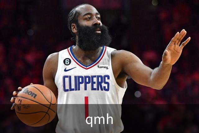 qmh公司环境